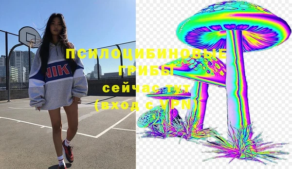 первитин Алексеевка