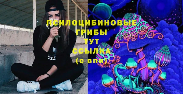 2c-b Аркадак