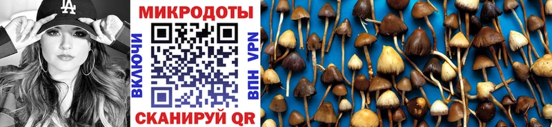 купить наркотики цена  Артёмовский  мориарти состав  Псилоцибиновые грибы Magic Shrooms 